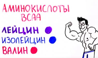 Как принимать BCAA