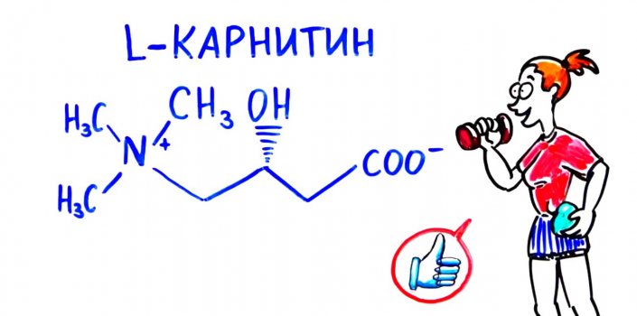 Как Л-карнитин поможет похудеть