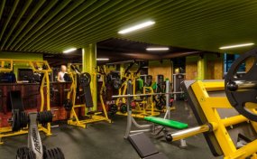 WEGYM Синица