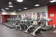 Fan Gym