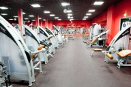 Fan Gym