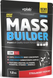 Mass Builder (1200 гр)