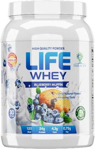 Life Whey (907 гр)