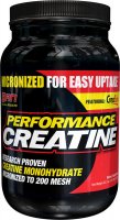 Performance Creatine (1200 гр)