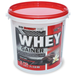 Whey Gainer (5000 гр)